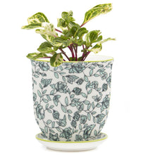 Load image into Gallery viewer, Pot & Saucer, 'Big Liberte' 3 Series - Floral Acres Greenhouse & Garden Centre
