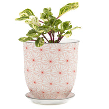 Load image into Gallery viewer, Pot & Saucer, 'Big Liberte' 3 Series - Floral Acres Greenhouse & Garden Centre