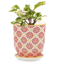 Load image into Gallery viewer, Pot & Saucer, 'Big Liberte' 3 Series - Floral Acres Greenhouse & Garden Centre