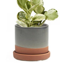 Load image into Gallery viewer, Pot & Saucer, 'Big Minute' 2 Series - Floral Acres Greenhouse & Garden Centre