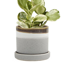 Load image into Gallery viewer, Pot & Saucer, 'Big Minute' 2 Series - Floral Acres Greenhouse & Garden Centre