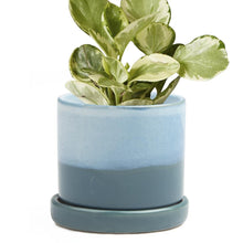 Load image into Gallery viewer, Pot & Saucer, 'Big Minute' 2 Series - Floral Acres Greenhouse & Garden Centre