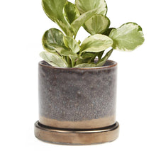 Load image into Gallery viewer, Pot & Saucer, 'Big Minute' 2 Series - Floral Acres Greenhouse & Garden Centre