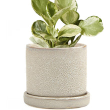Load image into Gallery viewer, Pot & Saucer, 'Big Minute' 2 Series - Floral Acres Greenhouse & Garden Centre