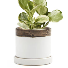 Load image into Gallery viewer, Pot & Saucer, 'Big Minute' 2 Series - Floral Acres Greenhouse & Garden Centre