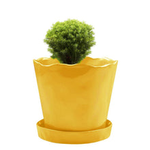 Load image into Gallery viewer, Pot & Saucer, 'Mofo Tika' 2, Large - Floral Acres Greenhouse & Garden Centre