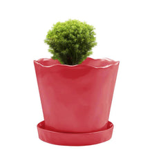 Load image into Gallery viewer, Pot & Saucer, 'Mofo Tika' 2, Large - Floral Acres Greenhouse & Garden Centre