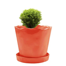 Load image into Gallery viewer, Pot & Saucer, 'Mofo Tika' 2, Large - Floral Acres Greenhouse & Garden Centre