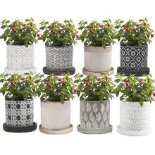 Load image into Gallery viewer, Pot & Saucer, Big Balter - Floral Acres Greenhouse & Garden Centre