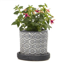Load image into Gallery viewer, Pot & Saucer, Big Balter - Floral Acres Greenhouse & Garden Centre