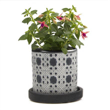 Load image into Gallery viewer, Pot & Saucer, Big Balter - Floral Acres Greenhouse & Garden Centre