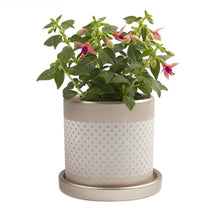 Load image into Gallery viewer, Pot & Saucer, Big Balter - Floral Acres Greenhouse & Garden Centre