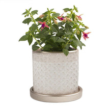 Load image into Gallery viewer, Pot & Saucer, Big Balter - Floral Acres Greenhouse & Garden Centre