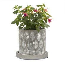 Load image into Gallery viewer, Pot & Saucer, Big Balter - Floral Acres Greenhouse & Garden Centre