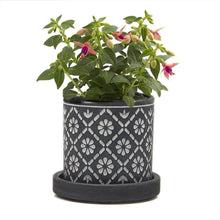 Load image into Gallery viewer, Pot & Saucer, Big Balter - Floral Acres Greenhouse & Garden Centre