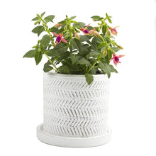 Load image into Gallery viewer, Pot & Saucer, Big Balter - Floral Acres Greenhouse & Garden Centre