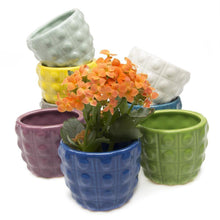 Load image into Gallery viewer, Pot & Saucer, Convex - Floral Acres Greenhouse & Garden Centre
