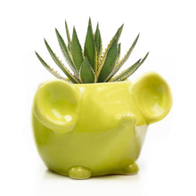 Load image into Gallery viewer, Pot, 4in, Mouse, Ceramic - Floral Acres Greenhouse & Garden Centre
