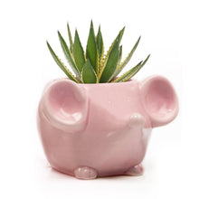 Load image into Gallery viewer, Pot, 4in, Mouse, Ceramic - Floral Acres Greenhouse & Garden Centre