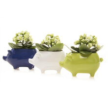 Load image into Gallery viewer, Pot, 5.5in, Pig - Floral Acres Greenhouse & Garden Centre