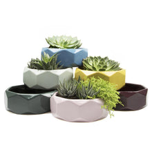 Load image into Gallery viewer, Planter, 8in, Discus Modern Garden Planters - Floral Acres Greenhouse & Garden Centre