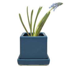 Load image into Gallery viewer, Pot & Saucer, 2.5in, Cube - Floral Acres Greenhouse & Garden Centre