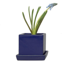 Load image into Gallery viewer, Pot & Saucer, 2.5in, Cube - Floral Acres Greenhouse & Garden Centre