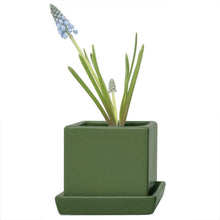 Load image into Gallery viewer, Pot & Saucer, 2.5in, Cube - Floral Acres Greenhouse & Garden Centre