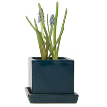 Load image into Gallery viewer, Pot & Saucer, 2.5in, Cube - Floral Acres Greenhouse & Garden Centre