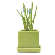 Load image into Gallery viewer, Pot & Saucer, 2.5in, Cube - Floral Acres Greenhouse & Garden Centre