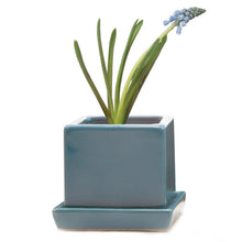 Load image into Gallery viewer, Pot & Saucer, 2.5in, Cube - Floral Acres Greenhouse & Garden Centre