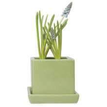Load image into Gallery viewer, Pot & Saucer, 2.5in, Cube - Floral Acres Greenhouse & Garden Centre