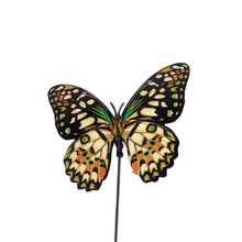 Load image into Gallery viewer, Realistic Butterfly Plant Pick, 6 Assorted