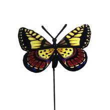 Load image into Gallery viewer, Realistic Butterfly Plant Pick, 6 Assorted