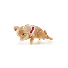 Load image into Gallery viewer, Posing Mouse Pot Hugger, 4 Assorted - Floral Acres Greenhouse & Garden Centre