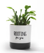 Load image into Gallery viewer, Pot, 4in, Ceramic, Garden Sentiment, 4 Assorted