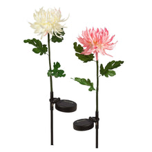 Load image into Gallery viewer, Solar Garden Stake, Wildflower - Floral Acres Greenhouse & Garden Centre
