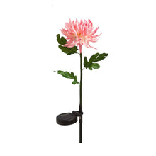 Load image into Gallery viewer, Solar Garden Stake, Wildflower - Floral Acres Greenhouse & Garden Centre