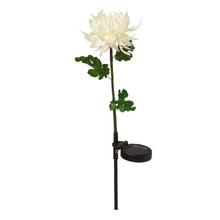 Load image into Gallery viewer, Solar Garden Stake, Wildflower - Floral Acres Greenhouse & Garden Centre