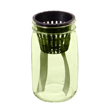 Load image into Gallery viewer, Planter, Glass, Self-Wicking Mason Jar, 4 Assorted