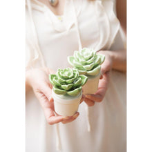 Load image into Gallery viewer, Ceramic Succulent Table Decor, 2 Assorted - Floral Acres Greenhouse & Garden Centre