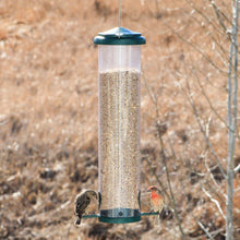 Load image into Gallery viewer, Squirrel-X X7 Squirrel-Resistant Bird Feeder - Floral Acres Greenhouse & Garden Centre