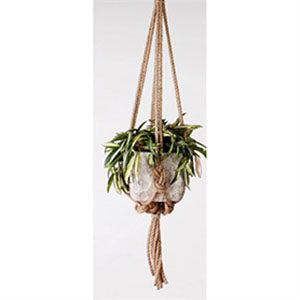 Plant Hanger, Natural Knotted Rope, 30in - Floral Acres Greenhouse & Garden Centre