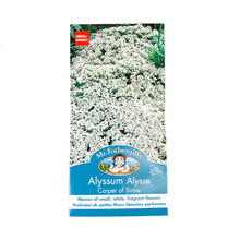 Load image into Gallery viewer, Alyssum - Carpet of Snow Seeds, Mr Fothergill's - Floral Acres Greenhouse & Garden Centre
