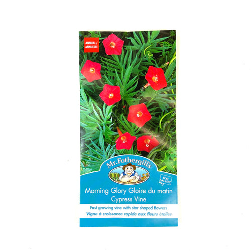 MorningGlory - Cypress Vine Seeds, Mr Fothergill's - Floral Acres Greenhouse & Garden Centre