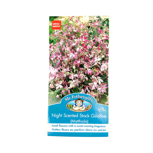 Stock - Night Scented Seeds, Mr Fothergill's - Floral Acres Greenhouse & Garden Centre