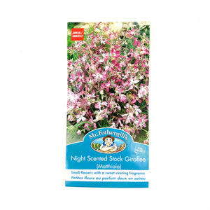 Stock - Night Scented Seeds, Mr Fothergill's - Floral Acres Greenhouse & Garden Centre