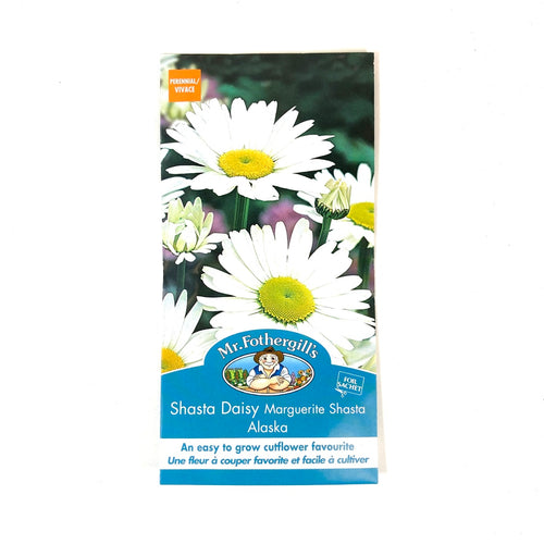 Shasta Daisy - Alaska Seeds, Mr Fothergill's - Floral Acres Greenhouse & Garden Centre