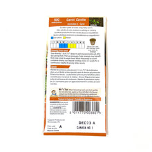 Load image into Gallery viewer, Carrot - Amsterdam 3 Sprint Seeds, Mr Fothergill's - Floral Acres Greenhouse & Garden Centre