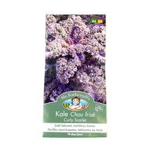 Load image into Gallery viewer, Kale - Curly Scarlet Seeds, Mr Fothergill's